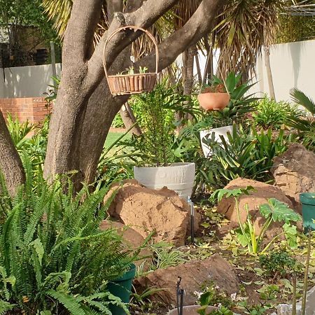 Elephant Bush Guest Cottage Alberton Eksteriør billede